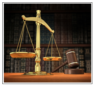 Slide #6 – We provide legal solutions